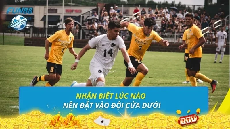 Nhận biết lúc nào nên đặt vào đội cửa dưới