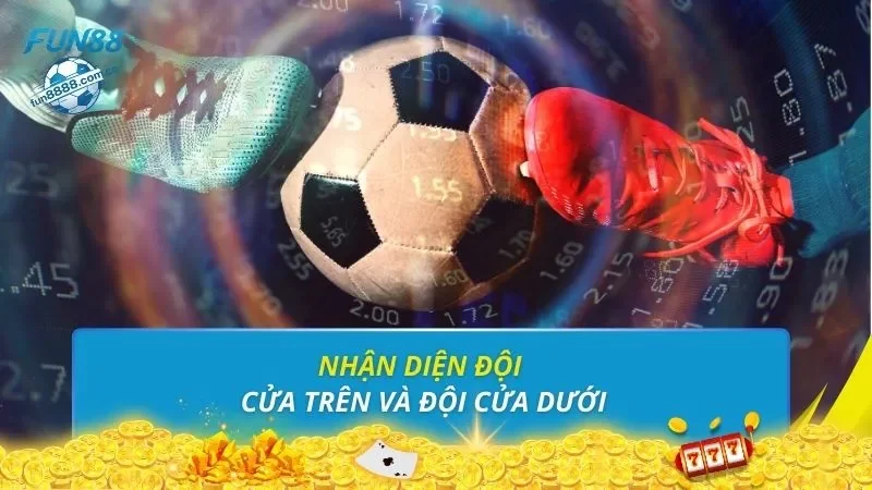 Nhận diện đội cửa trên và đội cửa dưới