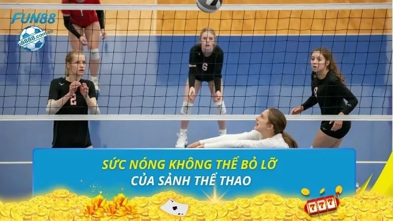 Sức nóng không thể bỏ lỡ của sảnh thể thao